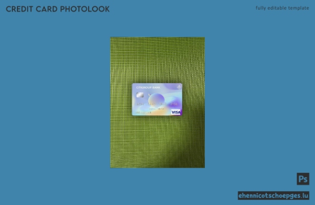 USA Citigroup Bank Visa-Karte Fotoansicht Beispielvorschau